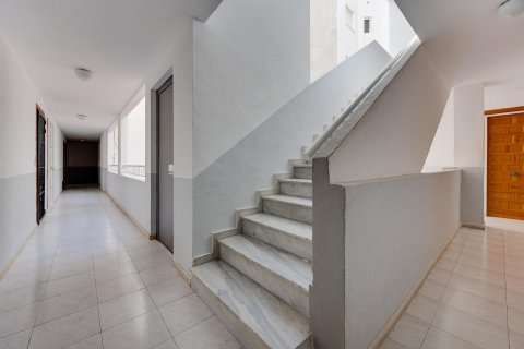 Dzīvoklis pārdošanā Torrevieja, Alicante, Spānijā 24 m2 Nr. 195642 - attēls 19