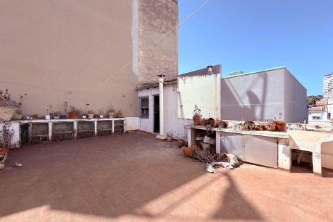Commercial property for sale in Alicante, Spain 236 sq.m. No. 195643 - photo 3