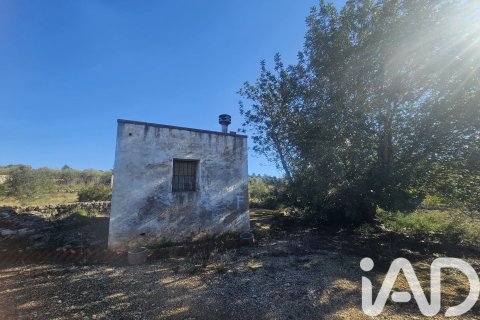 Gewerbeimmobilien in Freginals, Tarragona, Spanien Nr. 185234