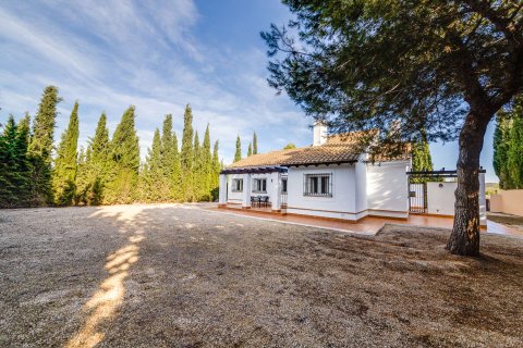 Дом в Фуэнте Аламо де Мурсия, Мурсия, Испания 2 спальни, 164.64м2 №175257
