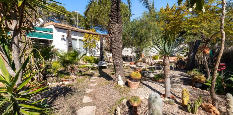 Villa Cabo Roig, Alicante, Spain 4 bedrooms, 170 sq.m. No. 116260
