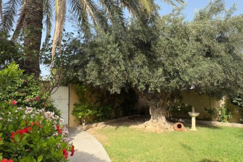 Huvila myytävänä Punta Prima, Alicante, Espanja, 4 makuuhuonetta, 360 m2 No. 179591 - kuva 11