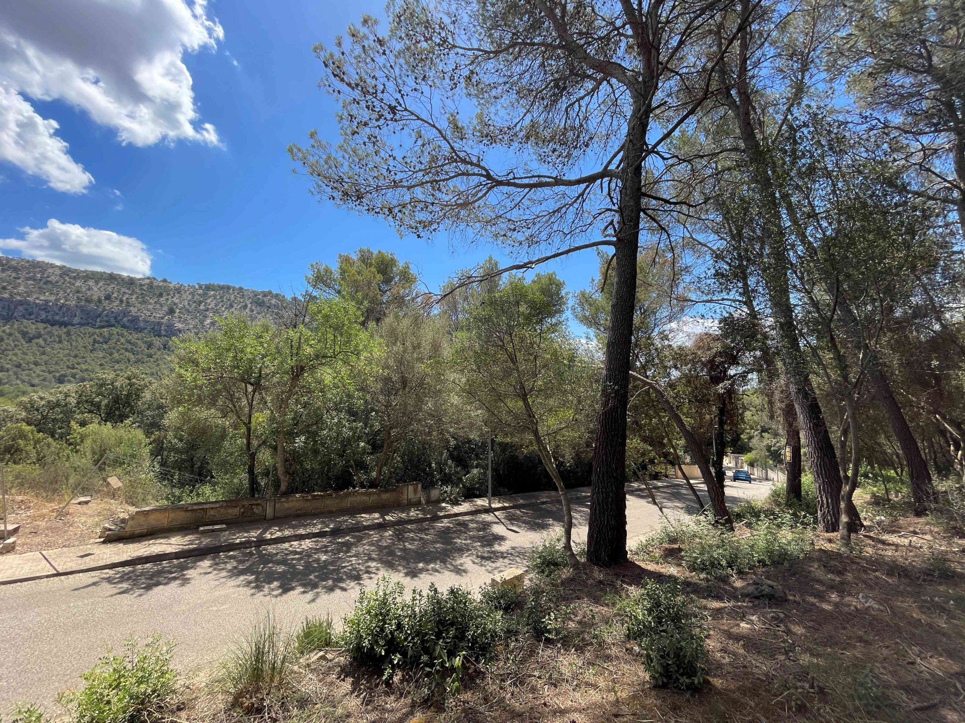 Land plot à Sa Pobla, Mallorca, Espagne 1088 m2 No. 102102
