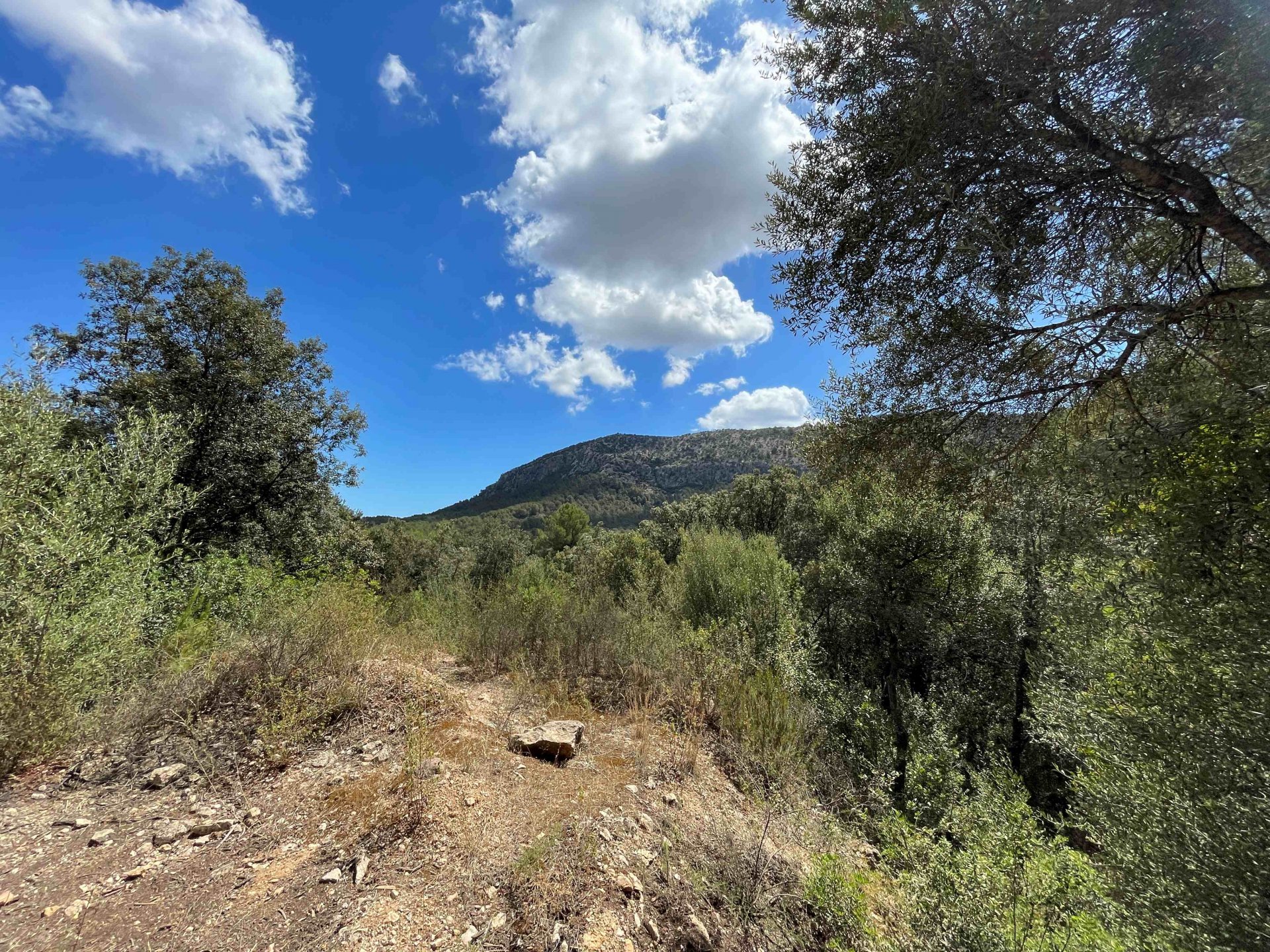 Land plot à Sa Pobla, Mallorca, Espagne 1088 m2 No. 102102