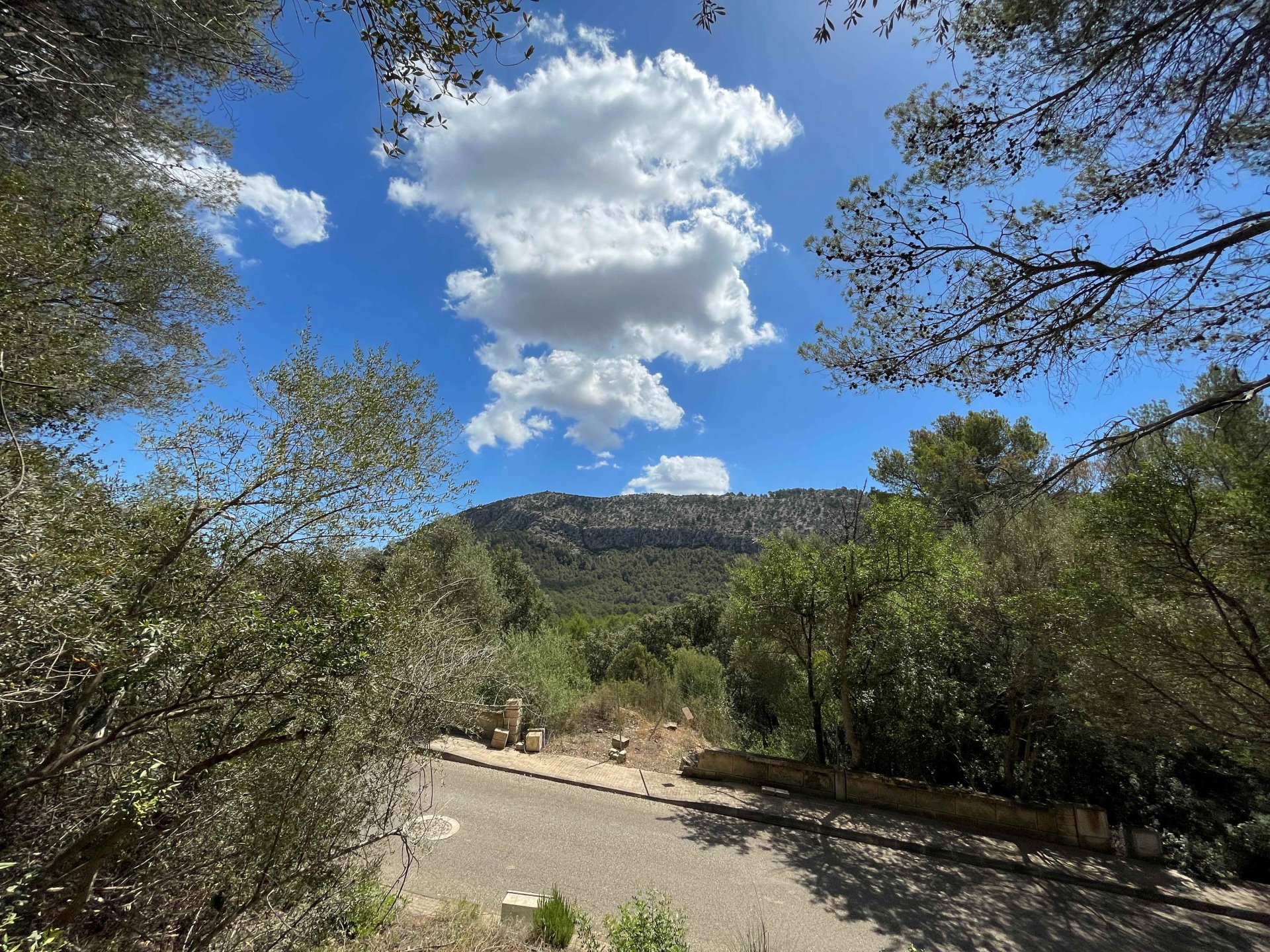 Land plot à Sa Pobla, Mallorca, Espagne 1088 m2 No. 102102