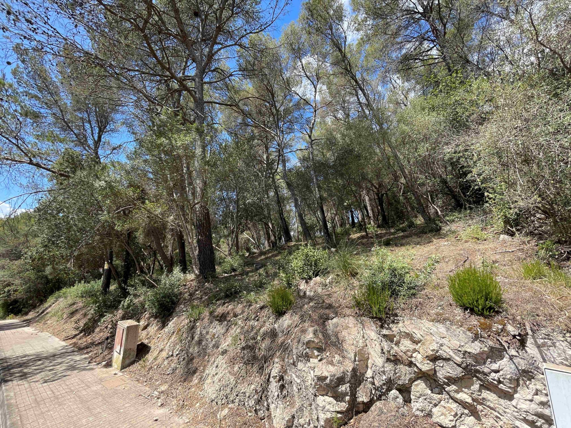 Land plot à Sa Pobla, Mallorca, Espagne 1088 m2 No. 102102