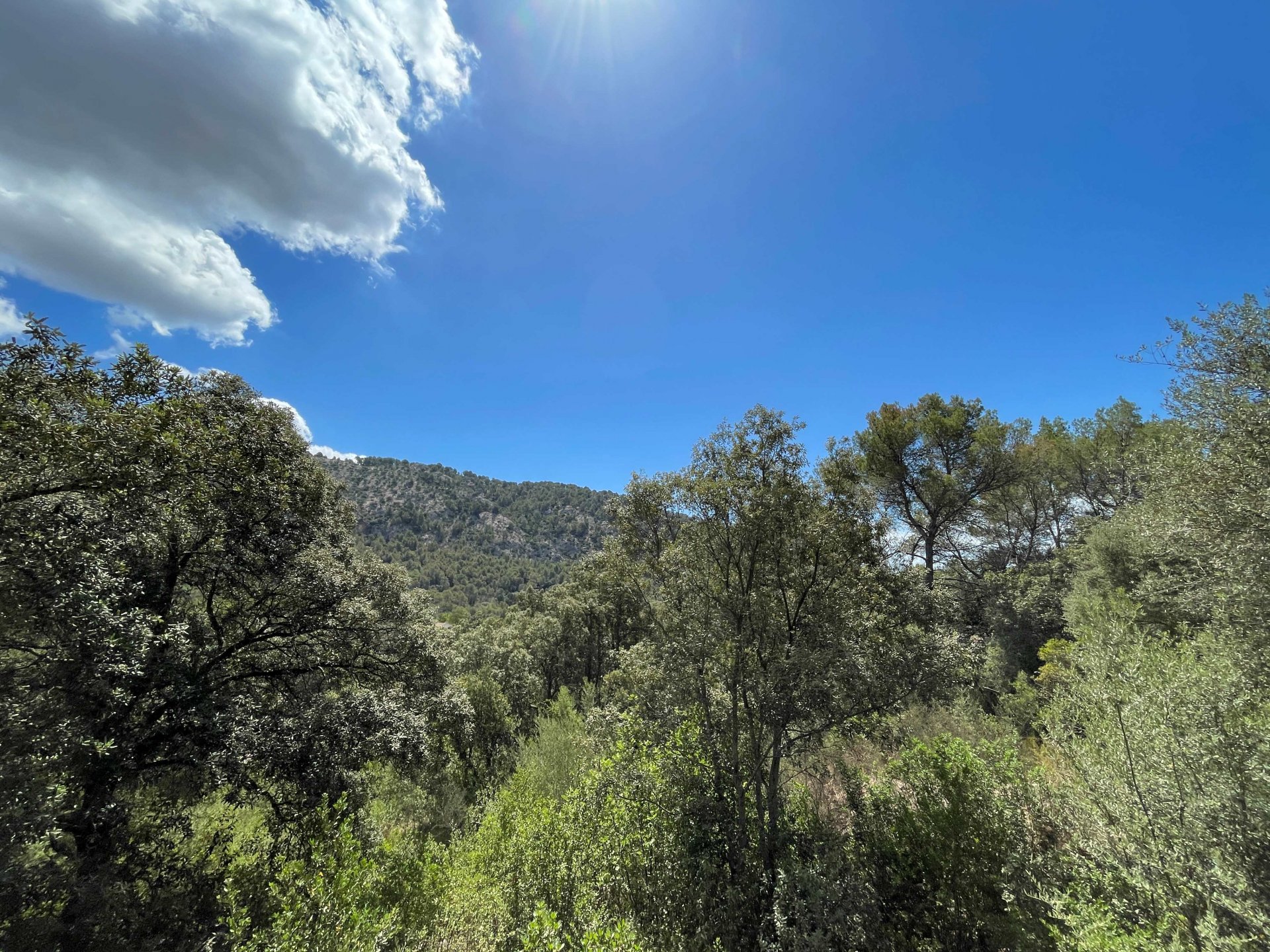 Land plot à Sa Pobla, Mallorca, Espagne 1088 m2 No. 102102