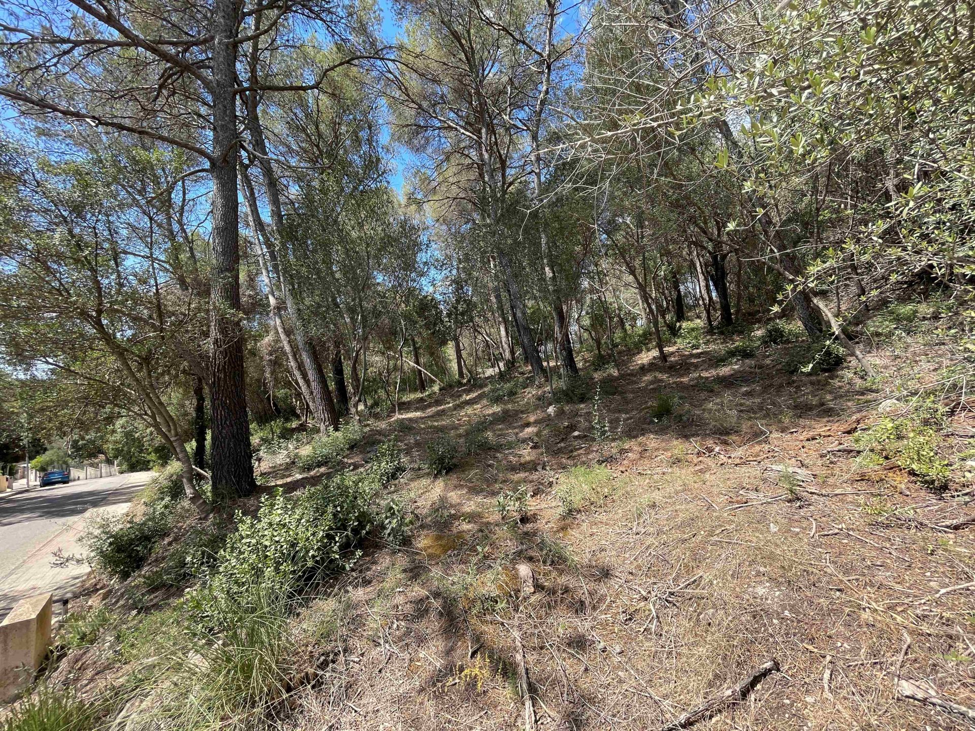 Land plot à Sa Pobla, Mallorca, Espagne 1088 m2 No. 102102