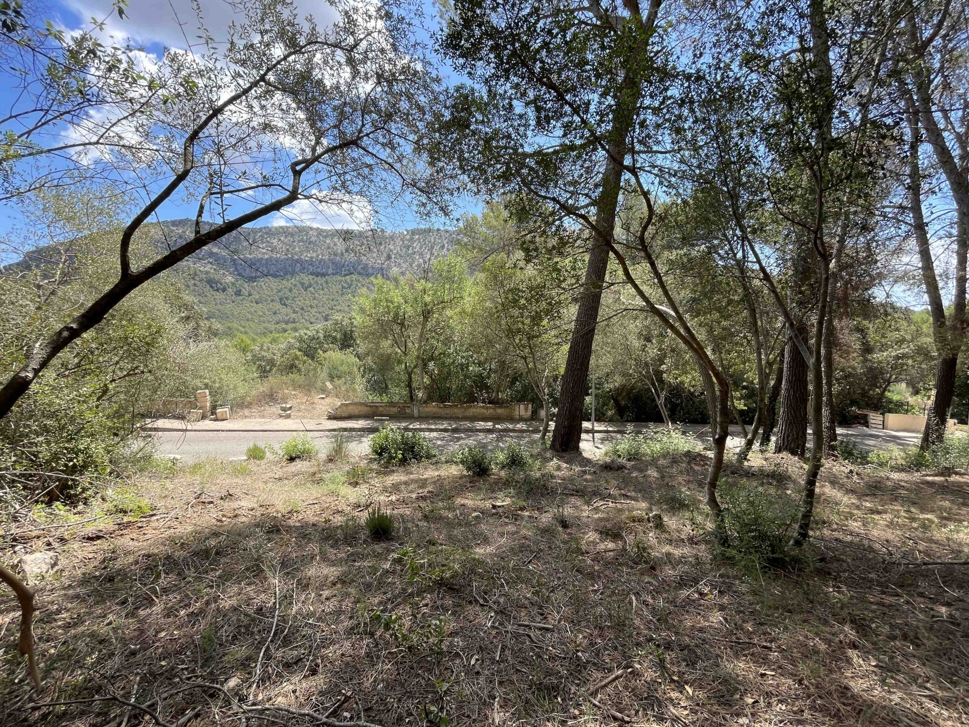 Land plot à Sa Pobla, Mallorca, Espagne 1088 m2 No. 102102