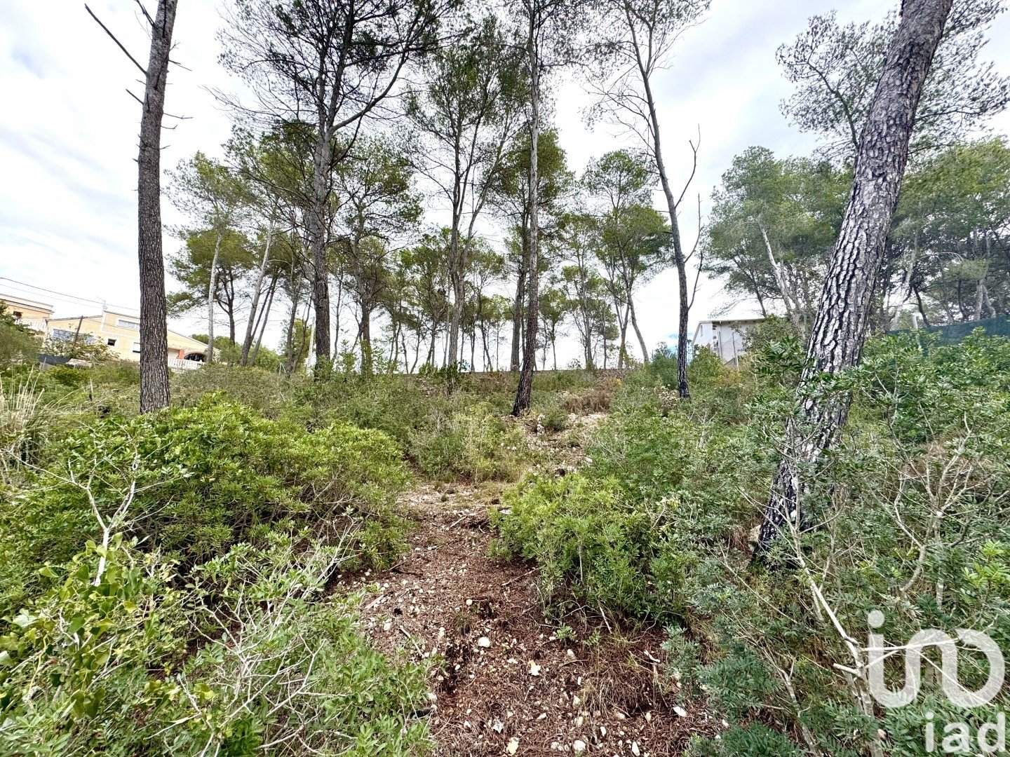 Land plot in Olivella, Barcelona, Spain 1101 sq.m. No. 186094
