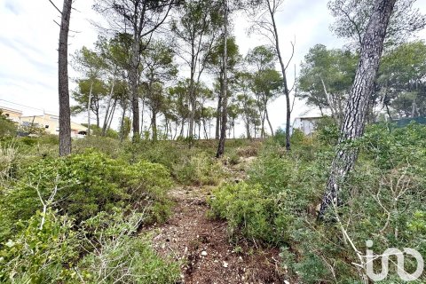 Parcela en venta en Olivella, Barcelona, España 1101 m2 No. 186094 - foto 14