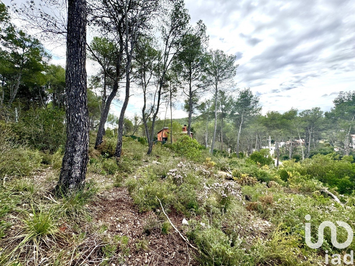 Land plot in Olivella, Barcelona, Spain 1101 sq.m. No. 186094
