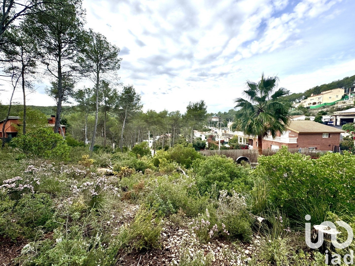 Land plot in Olivella, Barcelona, Spain 1101 sq.m. No. 186094