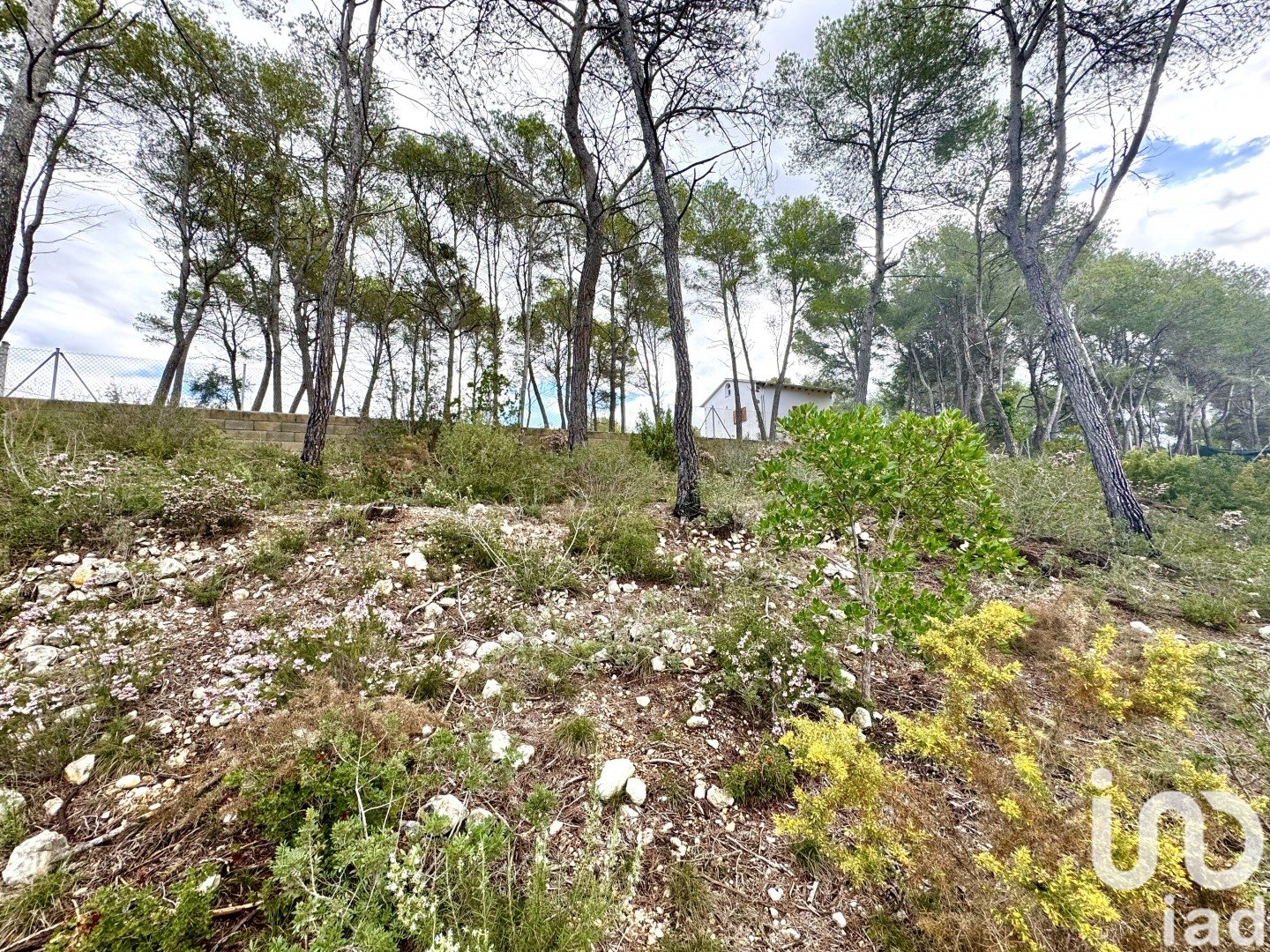 Land plot in Olivella, Barcelona, Spain 1101 sq.m. No. 186094