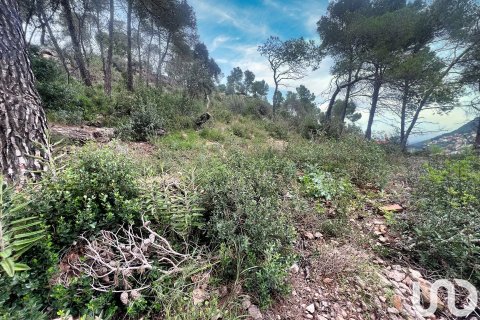 Terreno a Vallirana, Barcelona, Spagna 800 mq. N° 186088