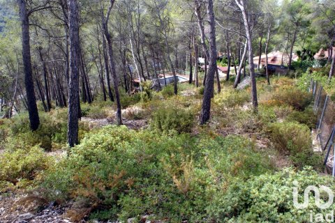 Land plot à vendre à Olivella, Barcelona, Espagne, 776 m2 No. 186093 - photo 3