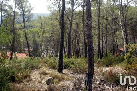 Land plot à vendre à Olivella, Barcelona, Espagne, 776 m2 No. 186093 - photo 10
