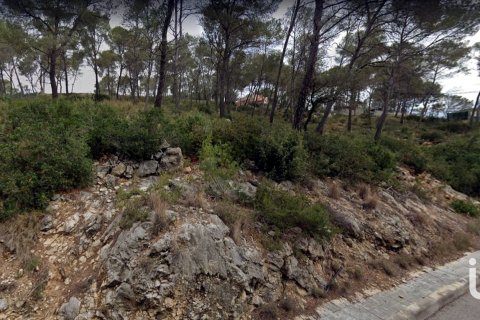 Terreno a Olivella, Barcelona, Spagna 776 mq. N° 186093