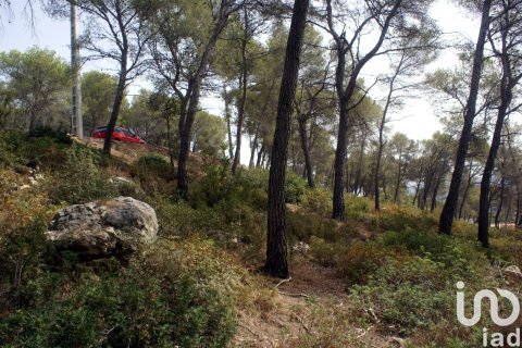 Land plot à vendre à Olivella, Barcelona, Espagne, 776 m2 No. 186093 - photo 15