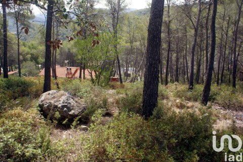 Land plot à vendre à Olivella, Barcelona, Espagne, 776 m2 No. 186093 - photo 8