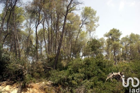 Land plot à vendre à Olivella, Barcelona, Espagne, 776 m2 No. 186093 - photo 23