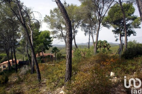Land plot à vendre à Olivella, Barcelona, Espagne, 776 m2 No. 186093 - photo 12