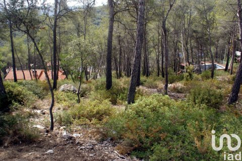 Land plot à vendre à Olivella, Barcelona, Espagne, 776 m2 No. 186093 - photo 4
