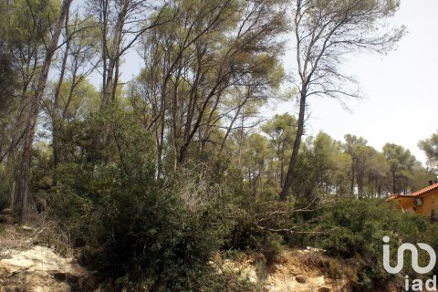 Land plot à vendre à Olivella, Barcelona, Espagne, 776 m2 No. 186093 - photo 21