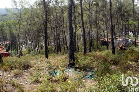 Land plot à vendre à Olivella, Barcelona, Espagne, 776 m2 No. 186093 - photo 14