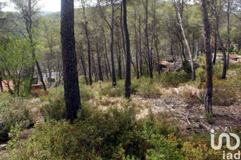 Land plot à vendre à Olivella, Barcelona, Espagne, 776 m2 No. 186093 - photo 7