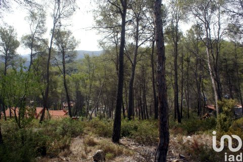 Land plot à vendre à Olivella, Barcelona, Espagne, 776 m2 No. 186093 - photo 11