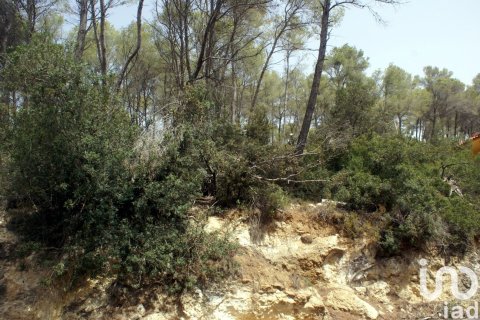 Land plot à vendre à Olivella, Barcelona, Espagne, 776 m2 No. 186093 - photo 22
