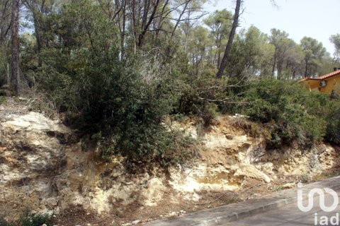 Land plot à vendre à Olivella, Barcelona, Espagne, 776 m2 No. 186093 - photo 20