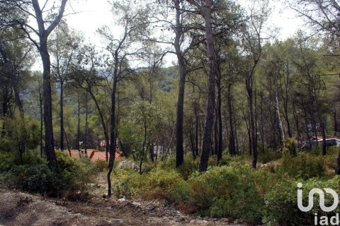 Land plot à vendre à Olivella, Barcelona, Espagne, 776 m2 No. 186093 - photo 2