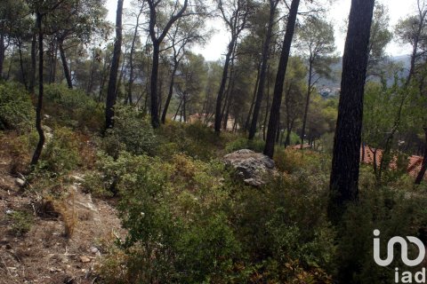 Land plot à vendre à Olivella, Barcelona, Espagne, 776 m2 No. 186093 - photo 9