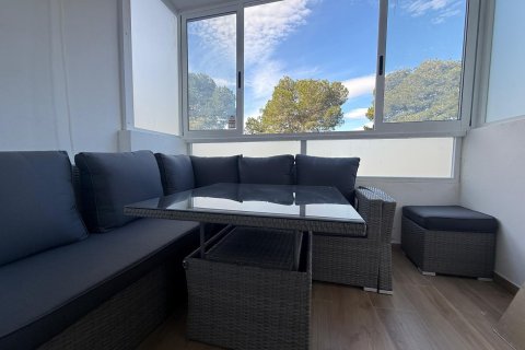 Dzīvoklis pārdošanā Ciudad Quesada, Alicante, Spānijā 1 istaba, 30 m2 Nr. 184210 - attēls 3