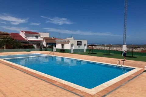 Dzīvoklis pārdošanā Ciudad Quesada, Alicante, Spānijā 1 istaba, 30 m2 Nr. 184210 - attēls 13