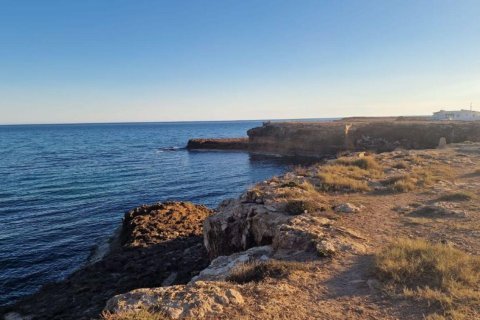 Lägenhet till salu Torrevieja, Alicante, Spanien 3 sovrum, 100 kvm. Nr. 139331 - foto 24