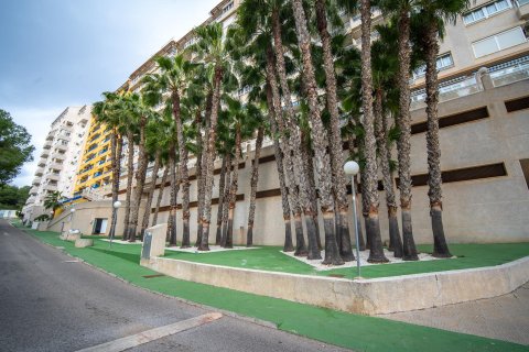 Kattohuoneisto myytävänä Dehesa De Campoamor, Alicante, Espanja, 2 makuuhuonetta, 89 m2 No. 166002 - kuva 30
