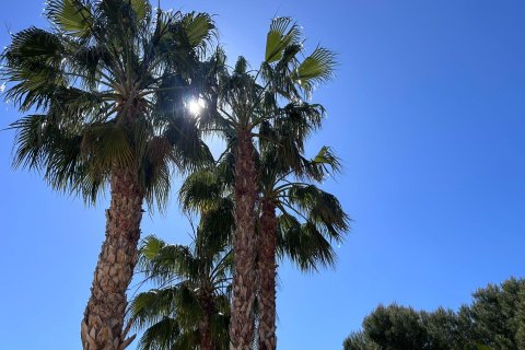 Dzīvoklis pārdošanā Finestrat, Alicante, Spānijā 2 istabas, 65 m2 Nr. 178094 - attēls 30