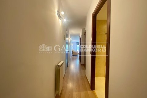 Apartment à vendre à Principado De Andorra (Ninguna Poblacion Tiene C.P.), Lleida, Espagne, 2 chambres,  No. 178573 - photo 19