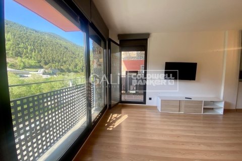 Apartment à vendre à Principado De Andorra (Ninguna Poblacion Tiene C.P.), Lleida, Espagne, 2 chambres,  No. 178573 - photo 4