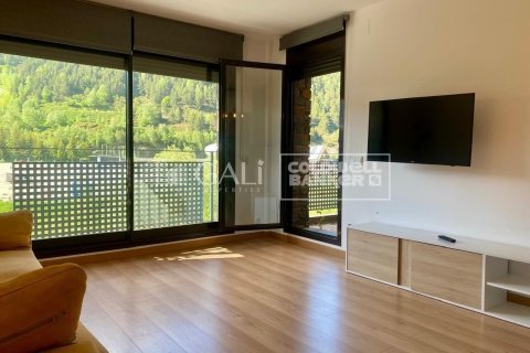 Apartment à vendre à Principado De Andorra (Ninguna Poblacion Tiene C.P.), Lleida, Espagne, 2 chambres,  No. 178573 - photo 11