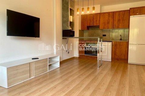 Apartment à vendre à Principado De Andorra (Ninguna Poblacion Tiene C.P.), Lleida, Espagne, 2 chambres,  No. 178573 - photo 13