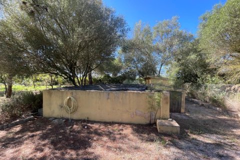 Finca en venta en Binissalem, Mallorca, España 3 dormitorios, 134 m2 No. 140443 - foto 16