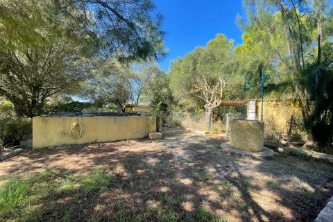Finca en venta en Binissalem, Mallorca, España 3 dormitorios, 134 m2 No. 140443 - foto 15