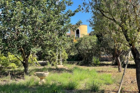 Finca en venta en Binissalem, Mallorca, España 3 dormitorios, 134 m2 No. 140443 - foto 17