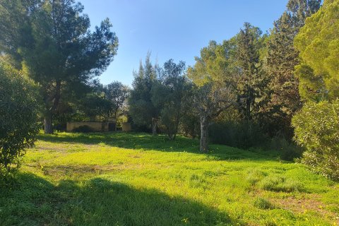 Finca en venta en Binissalem, Mallorca, España 3 dormitorios, 134 m2 No. 140443 - foto 13