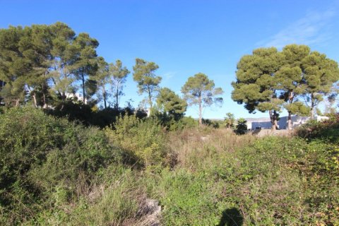 Land plot for sale Moraira, Alicante, Spain 1000 sq.m. No. 80304 - photo 3