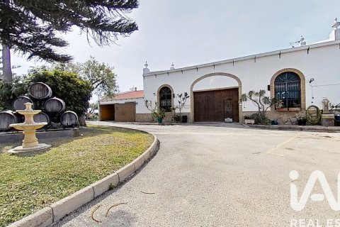 House in El Puerto de Santa Maria, Cadiz, Spain 3 bedrooms, 339 sq.m. No. 172685